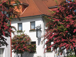 bloesembomen in Frankenau Sauerland